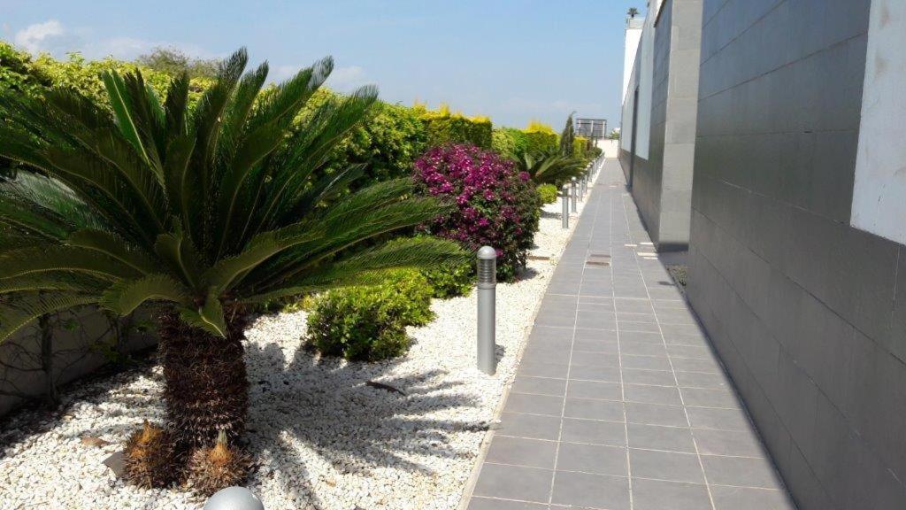 Oliva Nova - Golf&Beach Cabagua Exterior foto